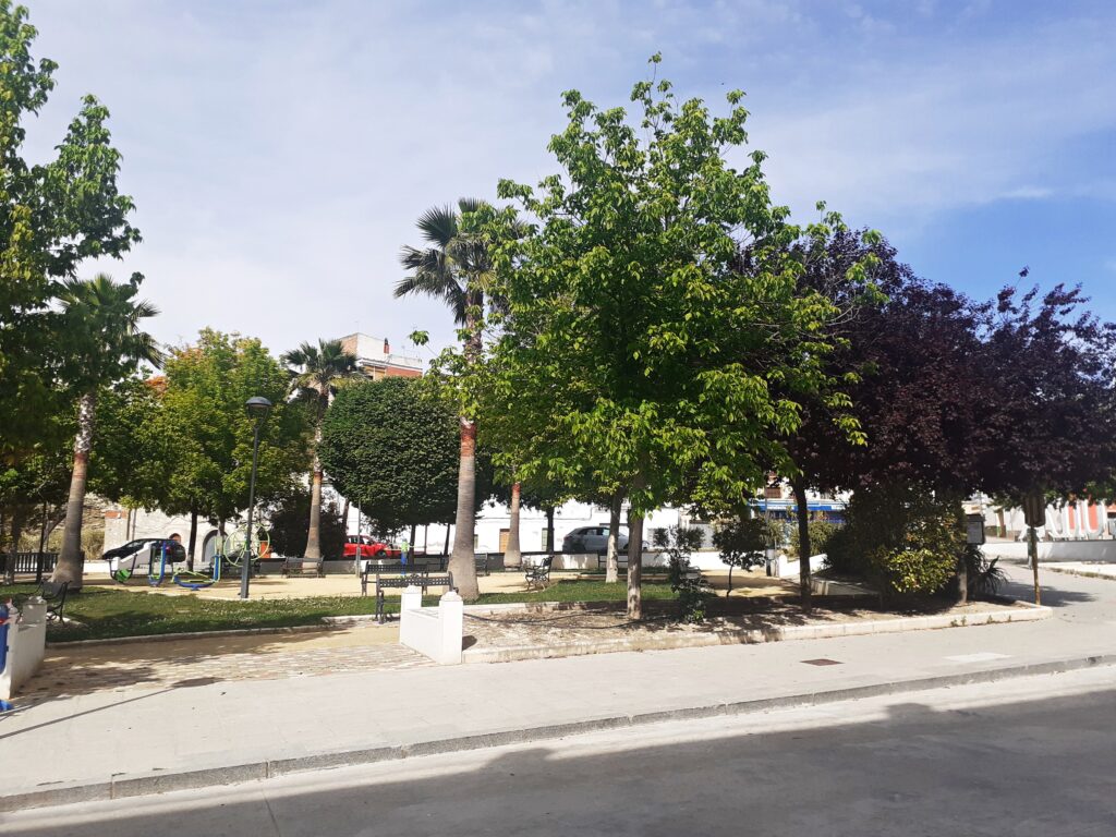 Granada-Studie: Fünf Baumarten kühlen Städte – vernetzte Grünzüge wirken am stärksten